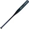 Rawlings FP3E12 Eclipse Alloy Fastpitch Softball Bat (-12) -Ball Sports Comprehensive Shop 39 fp3e12 2917 mainProductImage MediumLarge